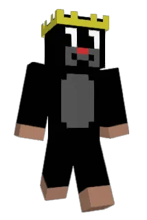 Zawojski Minecraft avatar full body
