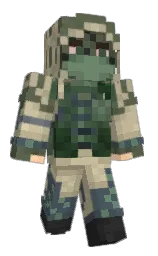 Custom render preview