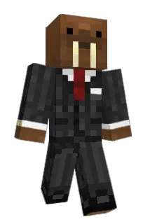 Zecrefate Minecraft avatar full body
