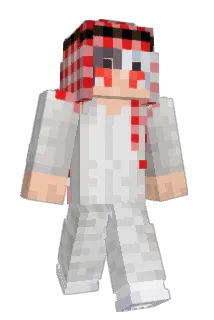 ZeeTBK Minecraft avatar full body