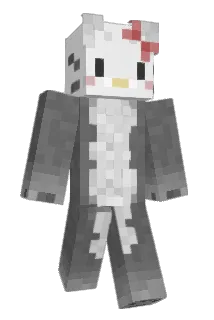 Zeerky Minecraft avatar full body