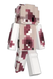 Zei11i Minecraft avatar full body