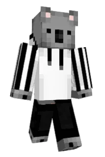 ZeinyGames Minecraft avatar full body