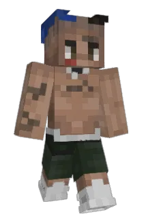 ZelTR0N Minecraft avatar full body