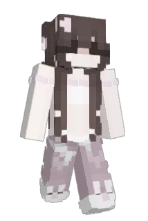Zelix14 Minecraft avatar full body