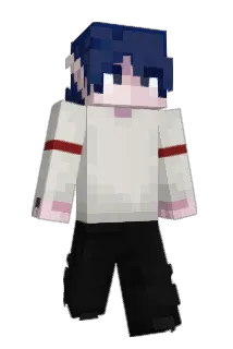 Zelmer502 Minecraft avatar full body