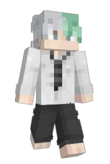 Zen0q Minecraft avatar full body
