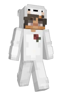 Zen1331 Minecraft avatar full body