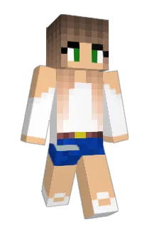 Zenix_22 Minecraft avatar full body