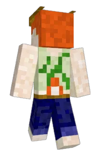 Zenri53 Minecraft avatar full body