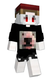 Zerduwu Minecraft avatar full body