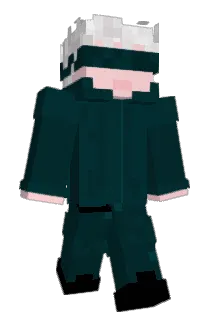 Zeronin99 Minecraft avatar full body