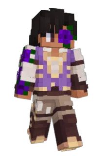 Minecraft-Avatar von Zeroxx_mc: ganzer Körper