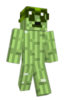 Zetakron Minecraft avatar full body