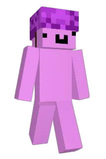 Zexi49 Minecraft avatar full body