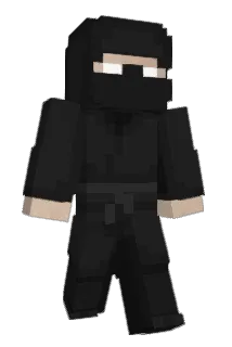 Zffkf Minecraft avatar full body