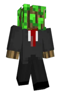 ZiccL Minecraft avatar full body
