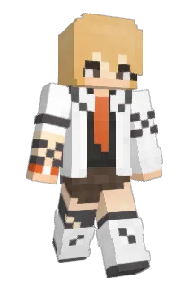 Zicgum Minecraft avatar full body