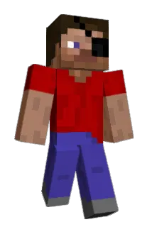 Zidto Minecraft avatar full body