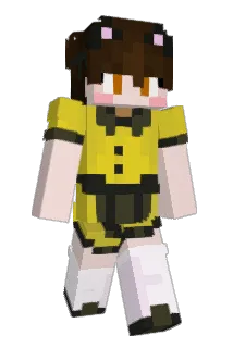 Ziegel_stein Minecraft avatar full body