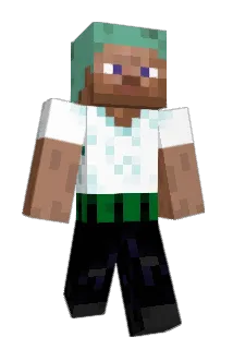 Ziekes Minecraft avatar full body