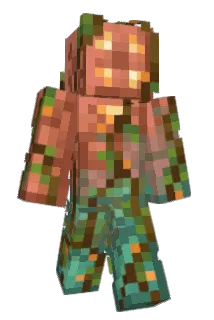 Zielen Minecraft avatar full body