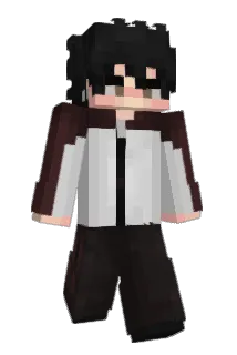 Zikwrix Minecraft avatar full body