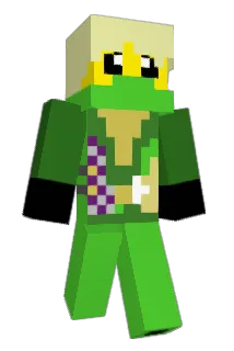 Zimmerdragon Minecraft avatar full body
