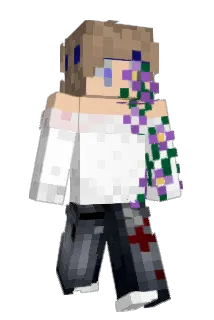 ZimtiPEC Minecraft avatar full body