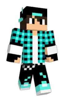 ZiomakPL Minecraft avatar full body