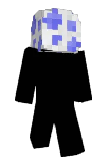 ZipixJo5 Minecraft avatar full body