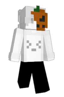 Zipter Minecraft avatar full body