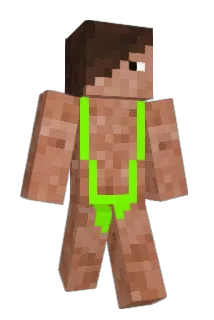 Zitkaduta7667 Minecraft avatar full body