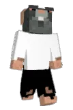Zivwy Minecraft avatar full body