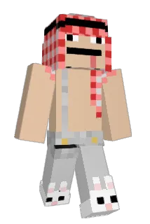ZiwiZ Minecraft avatar full body