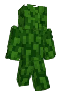 Zixidix Minecraft avatar full body