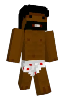 Zjow Minecraft avatar full body