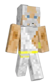 Zman9018 Minecraft avatar full body