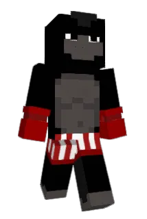 Zniff Minecraft avatar full body