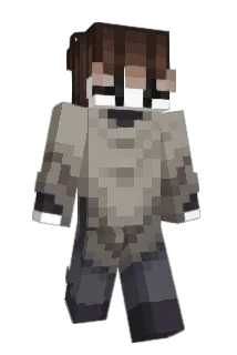 ZoharIDF Minecraft avatar full body