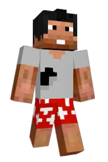 Zoinkx Minecraft avatar full body
