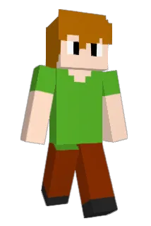 Zoinkys_ Minecraft avatar full body