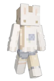 Zollix_x Minecraft avatar full body