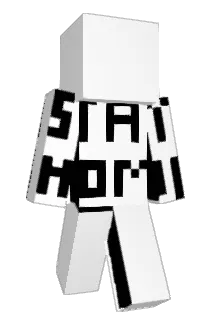 Zonefire98 Minecraft avatar full body