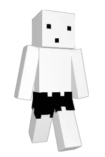 Zongx1101 Minecraft avatar full body