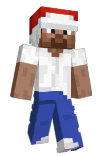 Zoo0me Minecraft avatar full body