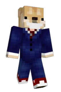 Zookolion Minecraft avatar full body