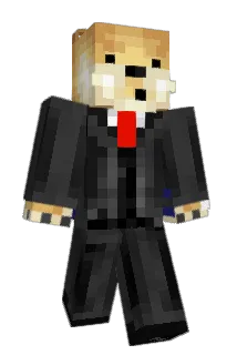 Zoom_Fiscon Minecraft avatar full body