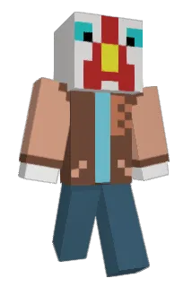 Zooms14 Minecraft avatar full body