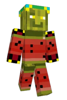 Zoopy909 Minecraft avatar full body